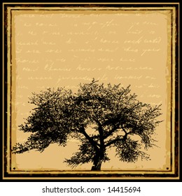 abstract grunge frame