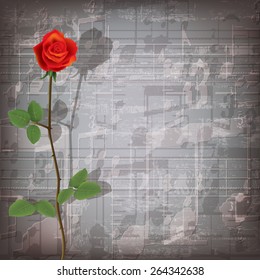abstract grunge gray music symbols background with red rose