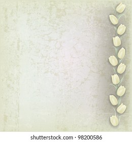 abstract grunge grey background with white tulips