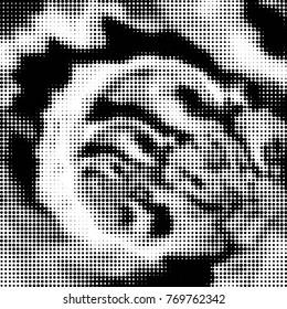 Abstract grunge grid polka dot halftone background pattern. Spotted black and white vector line illustration
