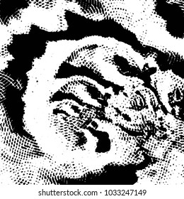Abstract grunge grid stripe halftone background pattern. Black and white line vector illustration
