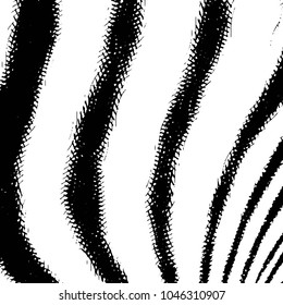 Abstract grunge grid stripe halftone background pattern. Black and white line vector illustration
