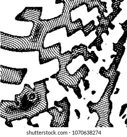Abstract grunge grid stripe halftone background pattern. Black and white line vector illustration
