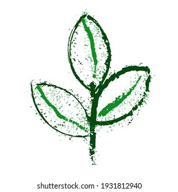 Abstract grunge linear stem icon. Green plant branch with three leaves. Vector sketch