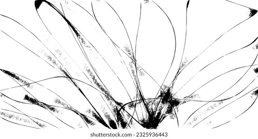 Abstract grunge monochrome texture. Vector background