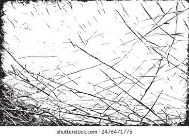 Abstract Grunge Overlay of Distressed Natural Fur Texture