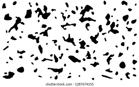 Patrón de gruñido abstracto, manchas sucias aleatorias, gota, ardilla, efecto húmedo. Pieles de fondo animal de dalmatian o vacas. Textura vectorial.