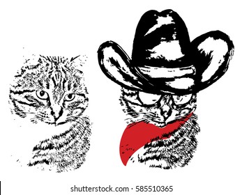 Abstract grunge portrait of a cat in a cowboy hat on white background.