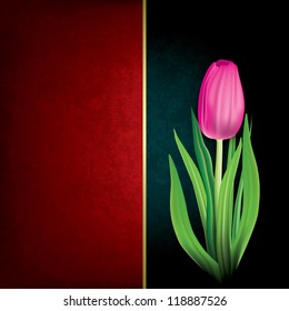 abstract grunge red background with tulip on black