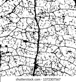 Abstract grunge scratched pattern. Vector textures.