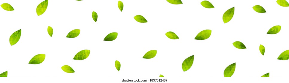 Abstract grunge summer eco banner with green leaves. Vector background