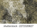 Abstract grunge texture multicolor paintbrush background vector