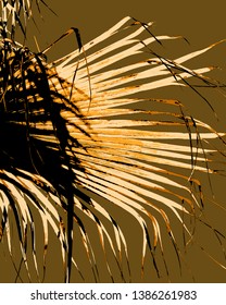 Abstract grunge vector background. Color illustration of tropical palms.