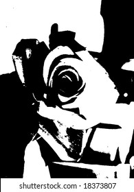 Abstract grunge vector illustration of a flower or spiral.