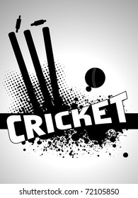 abstract grungy cricket background with stamp and leather ball, vector illustration