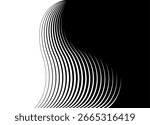 Abstract hair. Smooth vector transition from black to white. Abstract wave of thin lines. Divided two-color background. Design element for covers, packaging, video. Vector background. Beauty