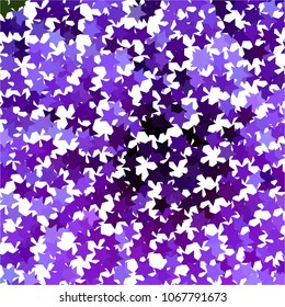 Abstract halftone background pattern. Colorful star vector line illustration
