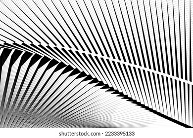 fondo abstracto de líneas de medio tono, patrón dinámico geométrico, textura de diseño vectorial moderno