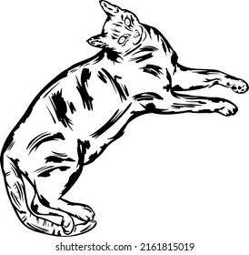 Abstract hand drawing illustration of and cute cat