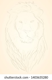 Abstract Hand Drawing Lion Isolated on
Color Background