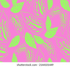 Abstract Hand Drawing Two Colors Tropical Exotic Leaves Seamless Vector Pattern Isolated Background