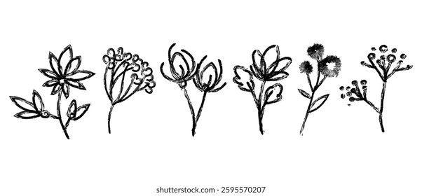Abstract Hand drawn botanical elements ink drawing various flowers and plants set. Minimalist sketch style wild flowers and herbs, perfect for vintage and nature designs, print. Vector illustration