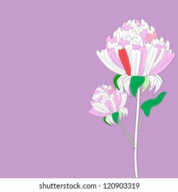 abstract hand drawn chrysanthemum isolated on lilac background vector