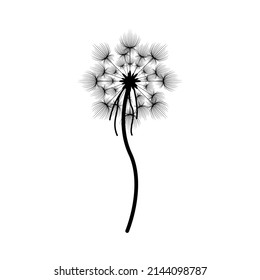 Abstract Hand Drawn Dandelion Flower Plant Botanic Floral Nature Bloom Doodle Concept Vector Design Outline Style On White Background Isolated