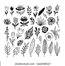 Feuilles de gribouillis dessinées à la main, palmier, fleurs. Design botanique. Éléments de conception de modèle pour arrière-plan, motif, bannière. Fleurs. Feuilles placées.