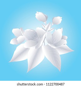 Abstract hand drawn floral pattern with lily flowers. Vector illustration. Element for design