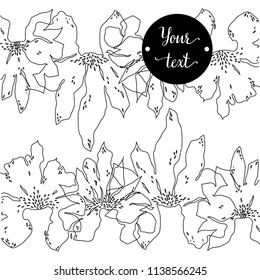 Abstract hand drawn floral pattern with lily flowers. Vector illustration. Element for design.