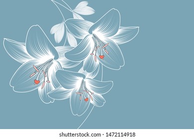 Abstract  hand drawn floral pattern with lily flowers. Vector illustration. Element for design.