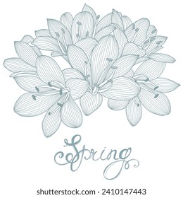 Abstract  hand drawn floral pattern with clivia flowers.. Vector illustration. Element for design.