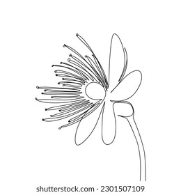 Abstract hand drawn flower. One line continuous flower. Line art blossom flower, outline vector illustration.
