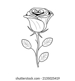 Abstract Hand Drawn Flower Rose Botanic Floral Nature Bloom Doodle Concept Vector Design Outline Style On White Background Isolated