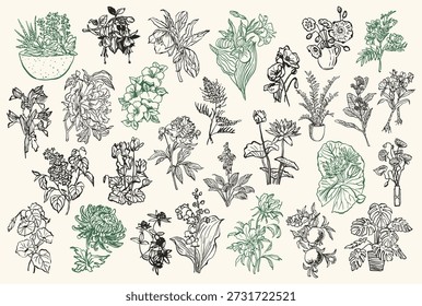 colección de Ilustración vectorial Abstractas dibujada a mano de flores y hojas. Obra de arte para tarjetas de felicitación, carteles, postales, papelería, identidad de marca.