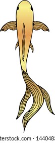 Abstract hand drawn gold carp fish isolated on white background. Hand drawn koi fish. Japanese carp. Top view. Asian outline illustration