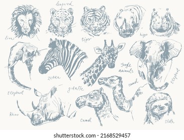 Abstract hand drawn jungle animals portrait illustration. Vector pencil sketch lion, tiger, leopard, elephant, camel, zebra, buffalo, rhino, hippo, sloth. For poster, nursery art, nature background.