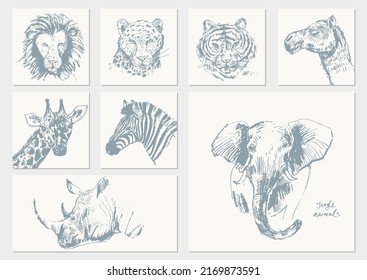 Abstract Hand Drawn Jungle Animals Portrait Illustration. Vector Sketch Of Lion, Tiger, Leopard, Elephant, Camel, Giraffe, Zebra, Rhino. For Poster, Nursery Art, Nature Background.