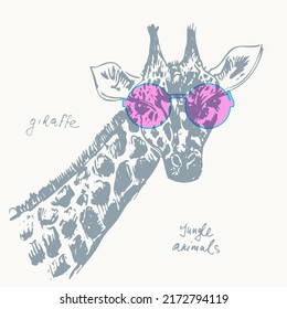 Abstract hand drawn jungle animals portrait illustration. Vector sketch of giraffe head in pink sunglasses, pop art style poster.