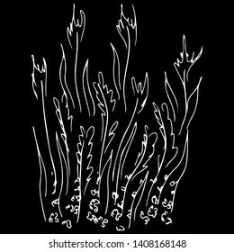 Abstract hand drawn rice isolated on black background. Rice vector outline icon. Line art