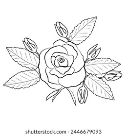 Abstract hand drawn rose flower.vector illustration botanical elements design,black and white rose flower botany design.