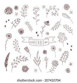 abstract hand drawn set with herbs and flowers