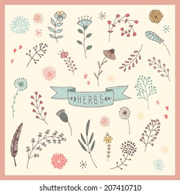 abstract hand drawn set with herbs and flowers