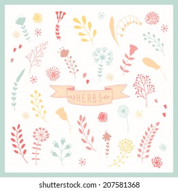 abstract hand drawn set with herbs and flowers