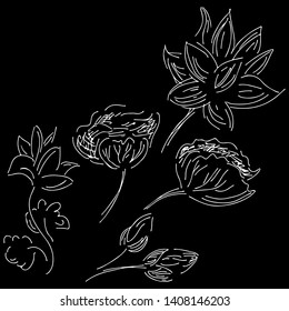 Abstract hand drawn set of lotus flowers isolated on black background. Vector illustration. Outline lotus elements collection.