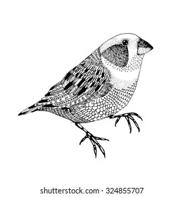 abstract hand drawn small bird made in a unique style isolated on a white background