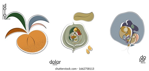 Abstract hand drawn vector artistic logo set isolated on white. Line art artistic illustration with texture. Retro flat colors organic natural Eco food design. Organic healthy vegan doodle.