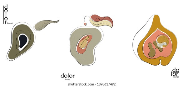 Resumen del logo artístico vectorial dibujado a mano aislado en blanco. Ilustración artística de línea con textura. Colores planos retro diseño ecológico de alimentos ecológicos naturales. Doodle vegetal orgánico sano.