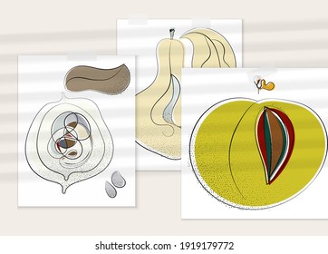 Abstract hand drawn vector artistic poster set with shadow overlay. Line art artistic illustration with texture. Retro flat colors organic natural design. Organic healthy vegan doodle.